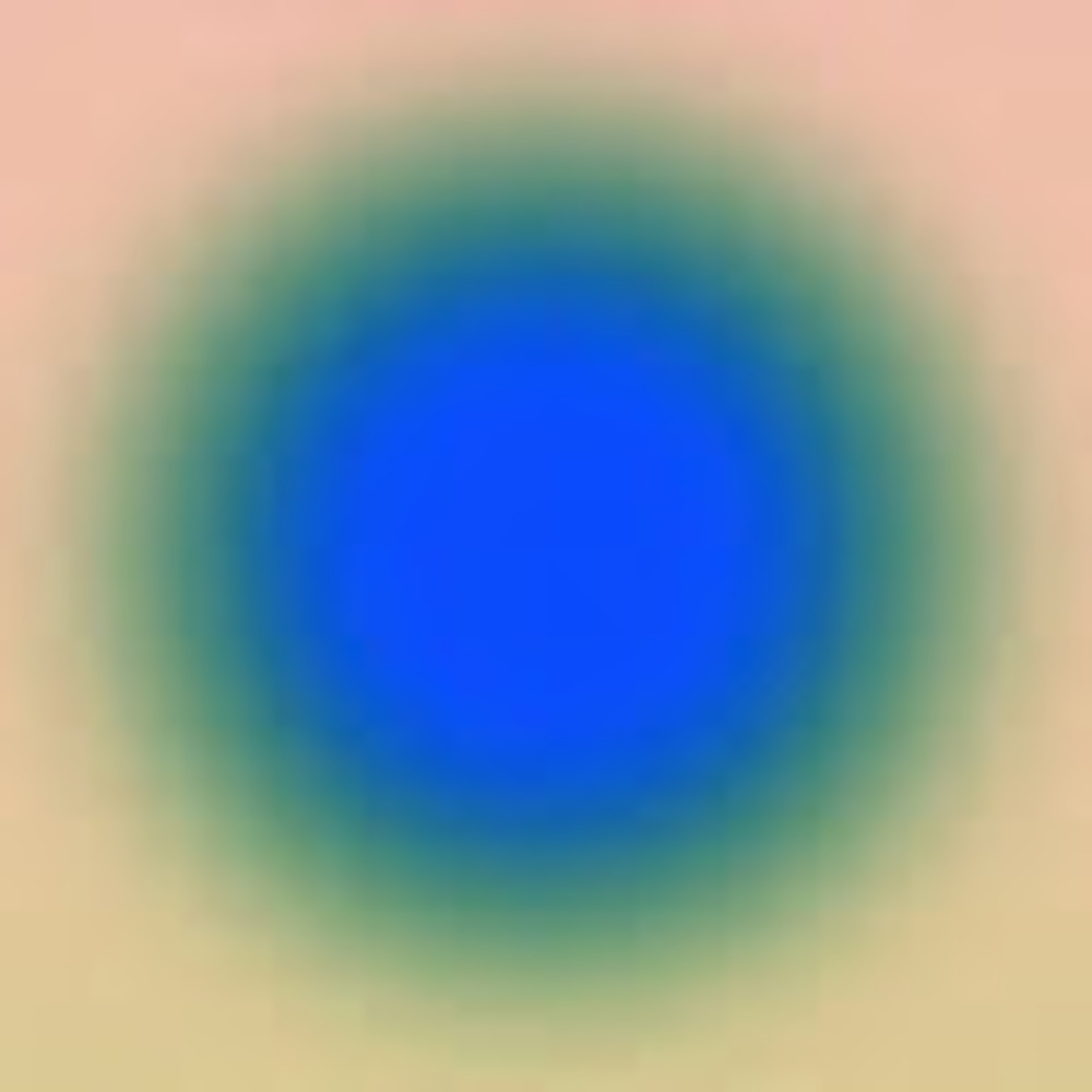 Meet your Posher, Elisabeth